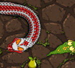 Snake Attack